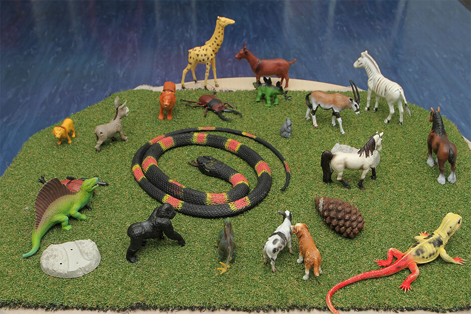 variety of animal toys for children